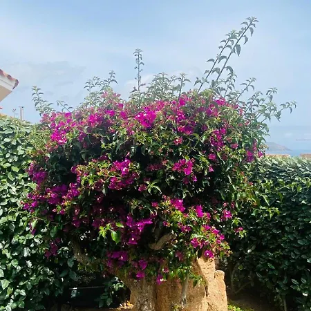 Holiday home Casa Oberto *